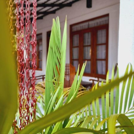 The Cozy Cottage Habarana Extérieur photo