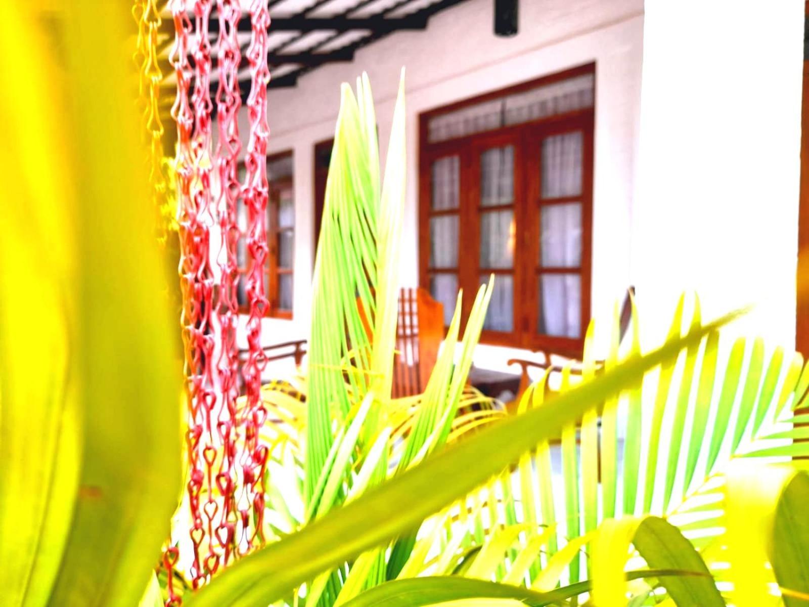 The Cozy Cottage Habarana Extérieur photo